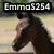 A four- of horse images with overlaid text labels, each showing a different horse in various poses and backgrounds