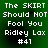 Green background with white pixelated text reading 'The SKIRT Should NOT Fool You Ridley Lax #41' in four identical quadrants.