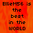 Pixelated text on an orange background with a gray section, stating 'EllieM56 is the best in the world' in black block letters.