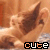 A pixelated cat with brown fur and white chest lies on a wooden surface, its head turned left to right while the text 'Cute' appears below.