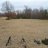 Pixelated landscape with brown terrain, dark tree silhouettes, and light sky background.
