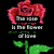 Pixelated red rose with green leaves on black background, featuring text overlays and a heart symbol.