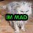 A four- shows a pixelated cat walking on wood with green text overlays reading IM MAD, SO DONT, and TALK 2 ME