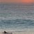 Pixelated static image of a beach scene with gradient sky transitioning from orange to gray, calm water, and a small dark object on the shore.