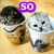 Animated icon shows two dogs in coffee cups on left, then transitions to a rabbit and dog on right with 'ADORIBLE' text.