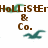 Brown pixelated text reads "Hollister & Co." with teal wave-like shapes above and below the text on a white background.