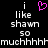 Pixelated text reads 'i like shawn so muchhhhhh' with a pink heart symbol above the first 'i', displayed in two identical side-by-side on black background