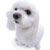 Pixelated static image of a white dog's face with dark eyes and nose, rendered in low resolution on a plain background.