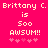 Pixelated text on bright pink background reads 'Brittany C. Brittany C. is Soo AWSUM!!' with five light pink stars below.