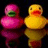 Two rubber ducks on a dark background with reflections, next to yellow text on a bright pink background.