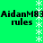 Green background with repeated black text 'AidanM83 rules' and white asterisk patterns arranged in vertical