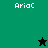 A four- displays the name 'Arioc' in white pixelated text on green and black backgrounds, with a black star in the top-right and a green star in the bottom-left