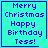 Four cyan square with blue text reading "Merry Christmas Happy Birthday Tess!" each bordered by a thin blue line, two containing small symbols at bottom-right corners