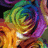 Pixelated rainbow rose on left, yellow background with black pixel text reading 'life without friends is like having a broken pencil... it's completely (pointless) lol'.