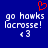Blue background with white pixelated text 'go hawks lacrosse!' and '<3', red heart symbol above left text.
