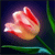 Pixelated flower icon with pink and red petals, green stem, and dark blue background.
