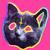 Two identical black cat head icons with glowing pink eyes and yellow outlines against a bright pink background.