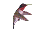 Pixelated hummingbird in flight with red head, white underbelly, and multicolored wings against light gray background.