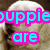 A four- of golden retriever puppy images with overlaid text in bright colors, showing a sequence where the top-right changes from 'special' to 'just like ME!' while other remain static