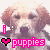 Animated contact sheet of six puppy-themed AIM buddy icons with color variations and text elements.