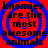 Red background with blue concentric circles and black text reading 'knomies are the most awesome animals' in four identical quadrants.