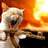A pixelated cat with a fiery background and blue text reading "Don't Mess With Terminator Kitty" in a four-quadrant layout.
