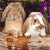 Two pixelated rabbits on a wooden surface with purple flowers, next to green text reading "Original Icons .com" on a dark background.