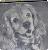 Pixelated grayscale image of a stylized face with large eyes and open mouth, set against a mottled gray background.