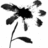 Black and white floral icon with five petals, stem, two leaves, and scattered seed-like shapes; animation shows partial leaf removal in lower-right frame.