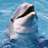 Pixelated image of a light-colored dolphin head emerging from blue water, mouth open showing teeth, eye visible, against a gradient blue background.