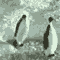 Animated sequence of penguin figures in various poses against a textured background with light and dark gray tones.