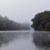 Pixelated landscape with two dark tree clusters on a light gray background, mirrored horizontally across a central horizontal line.