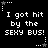Black background with white pixelated text reading "I got hit by the SEXY BUS!" repeated across six star-bordered sections, each section containing a single instance of the phrase.