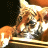 Pixelated image of a light brown dog with white markings on its face and chest, lying down against a dark background.