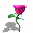 Pixelated pink rose with green stem and leaves, displayed in a of static frames showing slight variations in shadow and leaf position