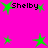 Bright pink background with green star shapes and black text reading "Shelby" in pixelated font, arranged in a pattern
