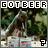 Animated contact sheet showing a squirrel interacting with beer crates under trees, with