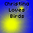 Blue background with yellow glow and black text reading 'Christina Loves Birds' in four showing animation changes