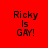 Red background with black text "Ricky Is GAY!" in four quadrants, each showing different light effects on the text.