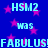 Blue background with pink stars and repeated light blue text reading HSM2, was, FABULUS!FABULUS!