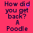 A static image with a bright pink background displays repeated text "How did you get back? A Poodle" in dark blue pixelated font, with scattered purple dots on the right side.