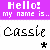 Animated sequence showing 'Hello! my name is.. Cassie' with changing star symbols and duck images.