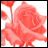 A static split- image with a red rose on the left and green text reading 'Original Icons .com' on the right against dark background