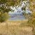 Pixelated static image of a light-colored vehicle on a textured background with muted earth tones.