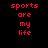 Pixelated red text "sports are my life" on black background with green rectangular highlights shifting across different words in each frame.