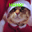 A cat in a Santa outfit with green text overlays reading 'HAHA!', 'HAVE A...', and 'MERRY CHRISTMAS!!!'