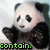 Pixelated panda with black and white fur, green text overlays reading 'contain.', 'yourself.', and 'killer.' across four