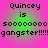 Pixelated text on a pink and green gradient background reads "Quincey is sooooooo gangster!!!!!" in four identical quadrants.