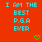 Red background with cyan text repeating 'I AM THE BEST P.G.A EVER' in multiple , green heart and checkmark symbols scattered across the image