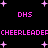Pixelated pink text and star shapes on a black background, with repeated 'DHS' and 'CHEERLEADER' segments arranged in horizontal bands.